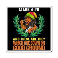 Mark 4:20 Lion Magnets