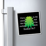 Ezekiel 16:7 Magnets