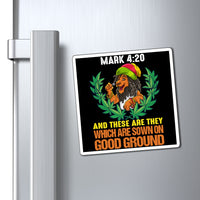 Mark 4:20 Lion Magnets