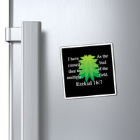 Ezekiel 16:7 Magnets