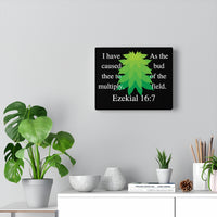 Ezekiel 16:7 Canvas Gallery Wraps