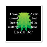 Ezekiel 16:7 Magnets