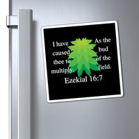 Ezekiel 16:7 Magnets