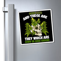 Mark 4:20 Skull Magnets