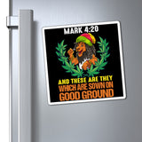 Mark 4:20 Lion Magnets