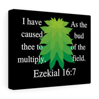 Ezekiel 16:7 Canvas Gallery Wraps