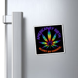 Rainbow Leaf Magnets